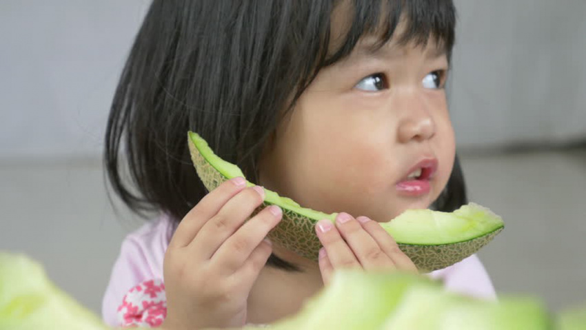 Dưa Lưới Vietgap Giá Sỉ Bắc Kạn