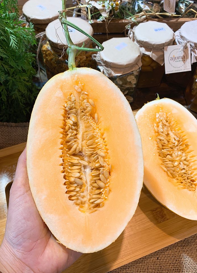 Sỉ Dưa Lưới Huỳnh Long Bắc Ninh