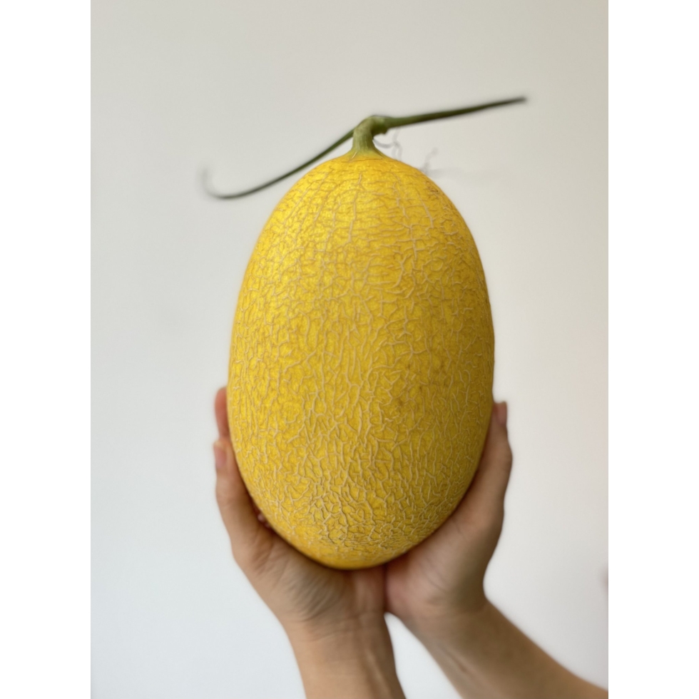 Sỉ Dưa Lưới Huỳnh Long Thái Bình