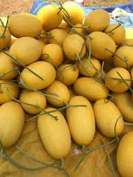 Sỉ Dưa Lưới Huỳnh Long Gia Lai