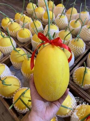 Sỉ Dưa Lưới Huỳnh Long Huyện An Phú