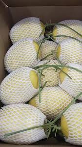 Sỉ Dưa Lưới Huỳnh Long Huyện Châu Thành