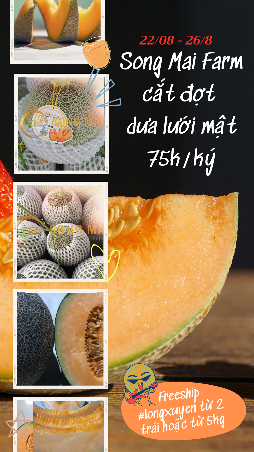 Dưa Lưới Vietgap Giá Sỉ Hà Nội