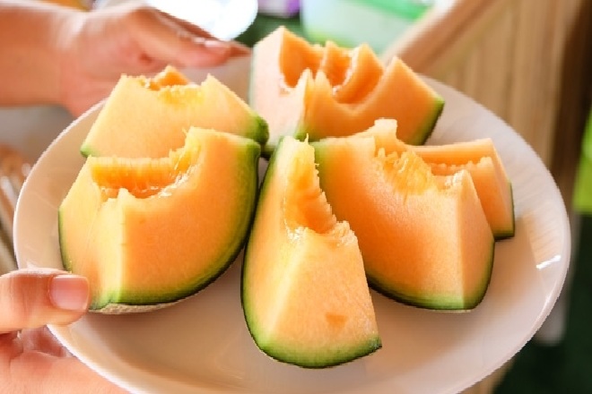 Dưa Lưới Vietgap Giá Sỉ Hải Phòng