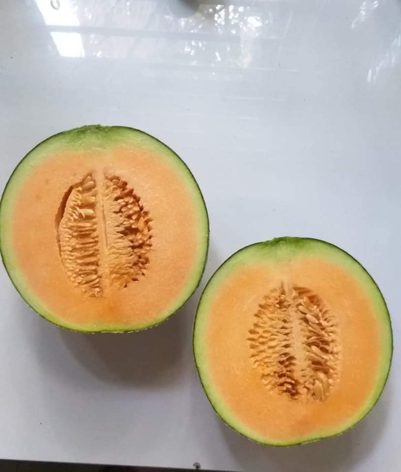 Dưa Lưới Đế Đặc Mật Cần Giờ HCM