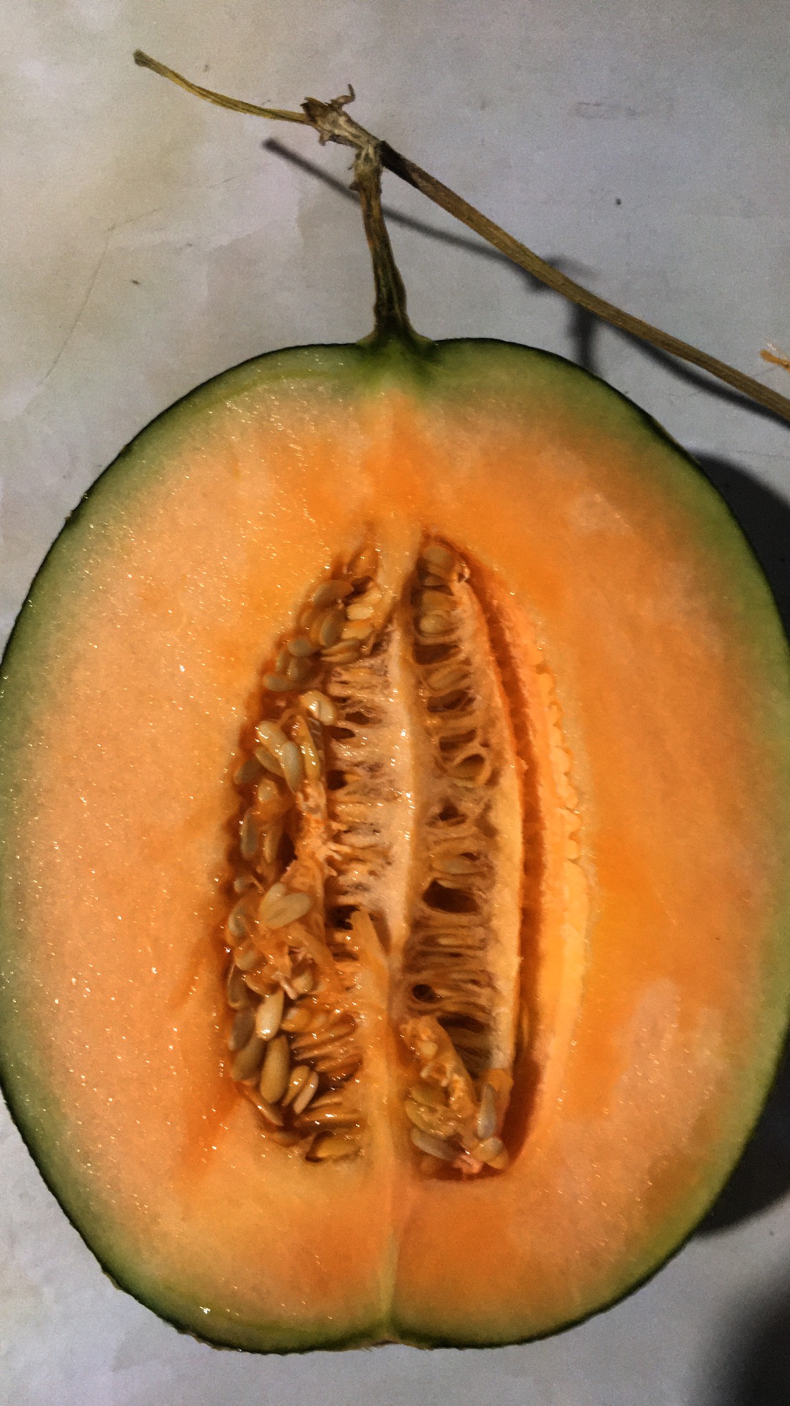 Dưa Lưới Vietgap Giá Sỉ Nhà Bè HCM