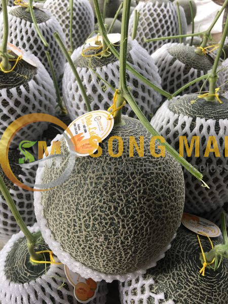 Dưa Lưới Đế Đặc Mật Quận 10 HCM