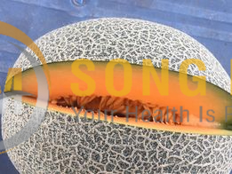 Dưa Lưới Đế Đặc Mật Quận 11 HCM