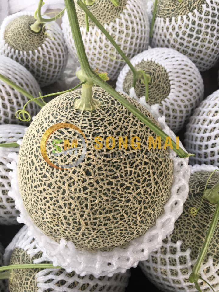 Dưa Lưới Đế Đặc Mật Bình Đức