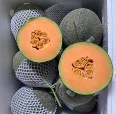 Dưa Lưới Đế Đặc Mật Mỹ Hòa