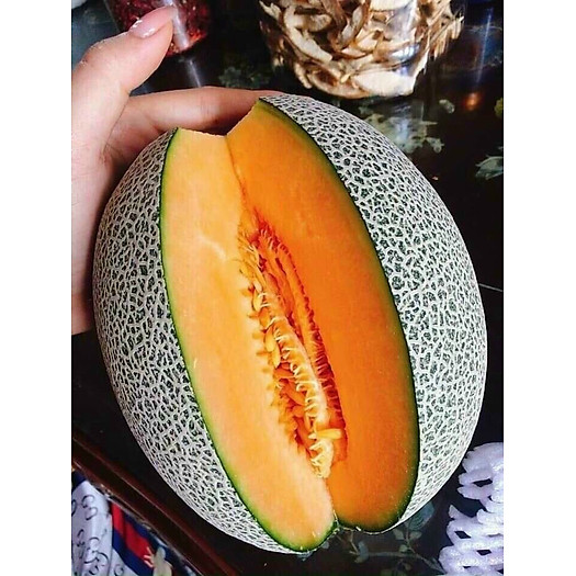 Dưa Lưới Đế Đặc Mật Gò Vấp HCM