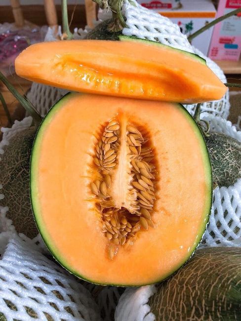 Dưa Lưới Đế Đặc Mật TP Rạch Giá