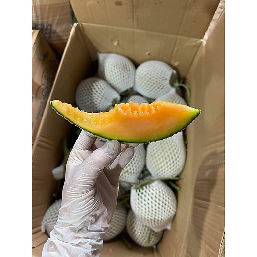 Dưa Lưới Đế Đặc Mật Phú Quốc