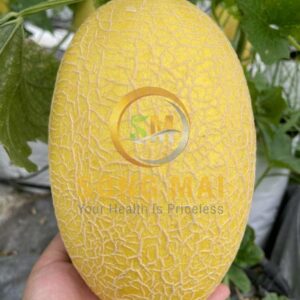 Dưa Lưới Huỳnh Long Song Mai