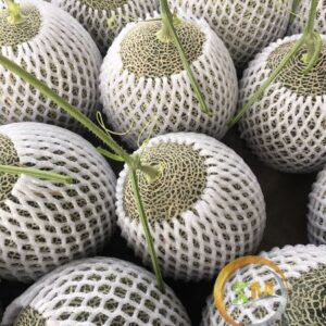 Dưa Lưới Đế Đặc Mật Song Mai