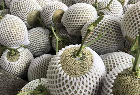 Giao Sỉ Dưa Lưới TL3 Mỹ Bình