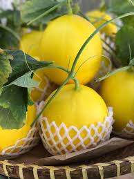 Sỉ Dưa Lưới Kim Hồng Ngọc Bạc Liêu