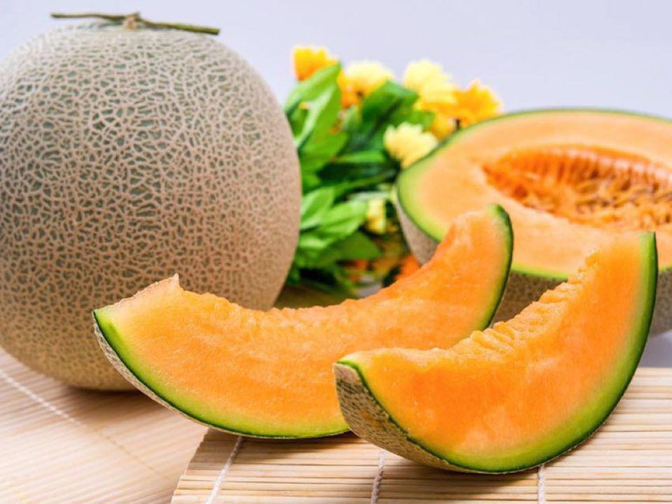 Dưa Lưới Thái Lan Bình Định