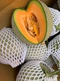 Giao Sỉ Dưa Lưới TL3 Cà Mau