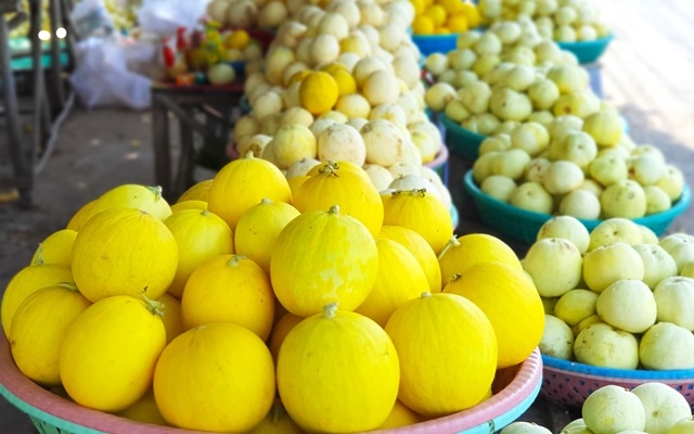 Sỉ Dưa Lưới Kim Hồng Ngọc Huyện Chợ Mới