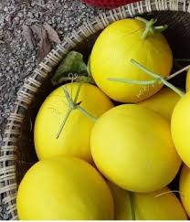 Sỉ Dưa Lưới Kim Hồng Ngọc Mỹ Hòa Hưng