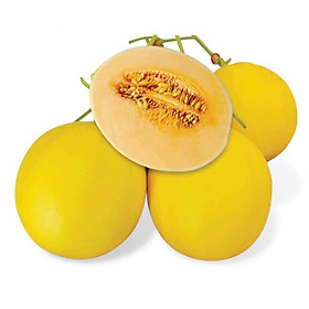 Sỉ Dưa Lưới Kim Hồng Ngọc Mỹ Long