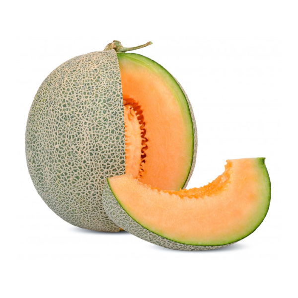 Giao Sỉ Dưa Lưới TL3 Hà Tĩnh