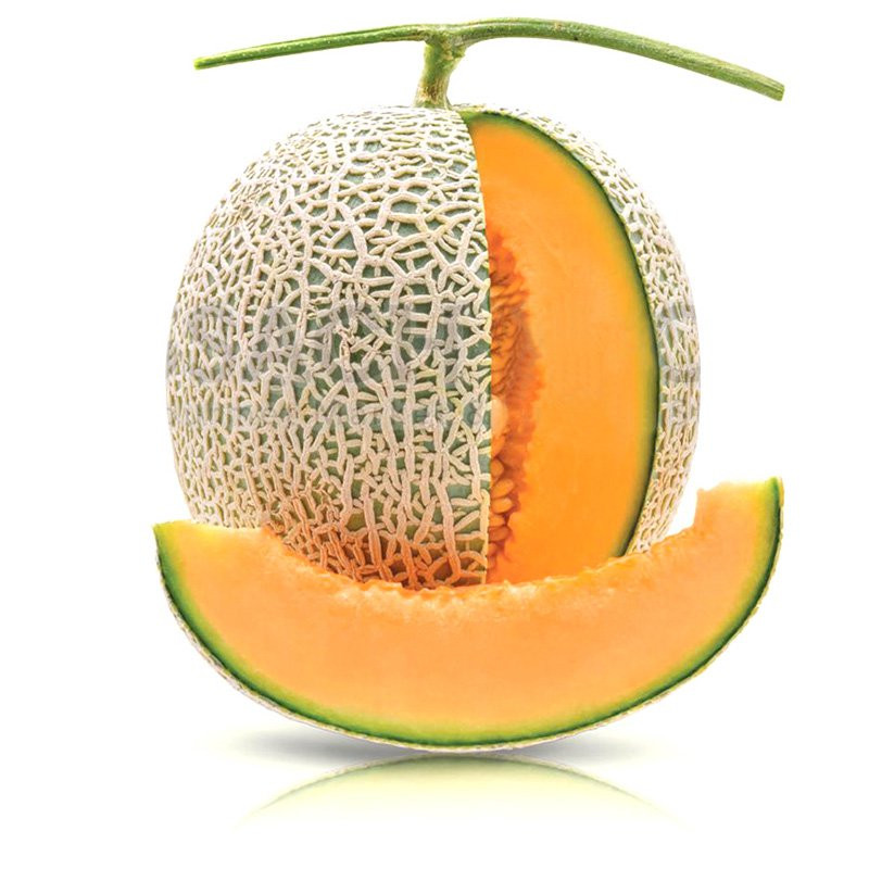 Giao Sỉ Dưa Lưới TL5 Cần Thơ