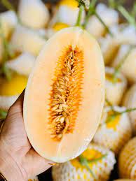 Sỉ Dưa Lưới Huỳnh Long Bình Khánh