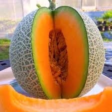 Bán Dưa Lưới Kim Long Hà Nội