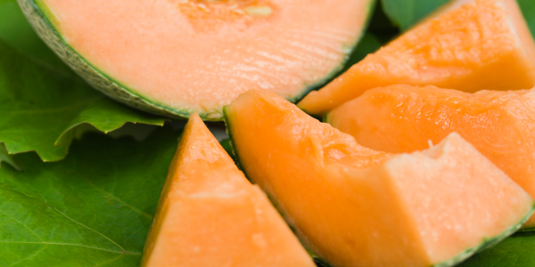 Bán Dưa Lưới Kim Long Ninh Thuận