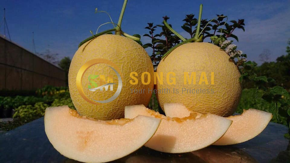 Sỉ Dưa Lưới Kim Hồng Ngọc Đà Nẵng