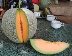 Giao Sỉ Dưa Lưới TL3 Tiền Giang