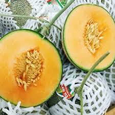 Giao Sỉ Dưa Lưới TL3 Củ Chi HCM