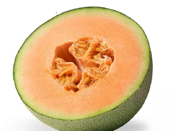 Giao Sỉ Dưa Lưới TL3 Nhà Bè HCM