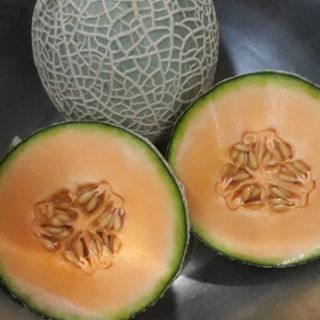 Giao Sỉ Dưa Lưới TL3 Quận 11 HCM