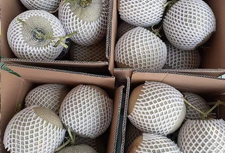 Giao Sỉ Dưa Lưới TL3 Quận 3 HCM