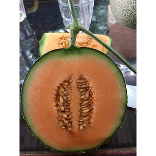 Giao Sỉ Dưa Lưới TL3 Quận 4 HCM