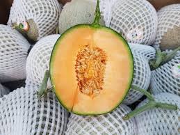 Giao Sỉ Dưa Lưới TL3 Quận 5 HCM