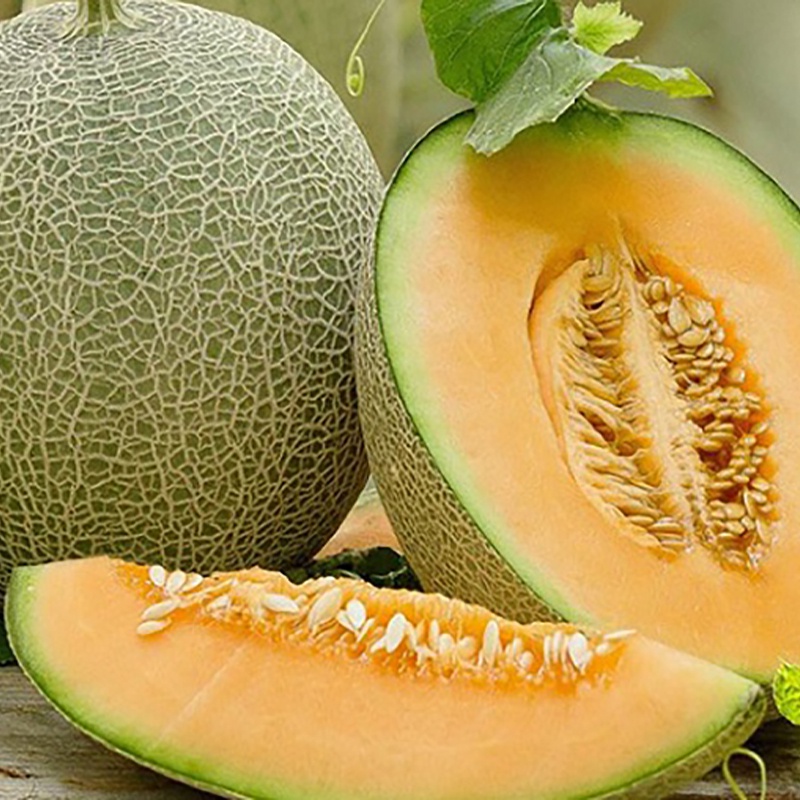 Dưa Lưới Thái Lan