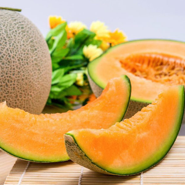 Giao Sỉ Dưa Lưới TL3 Thủ Đức HCM