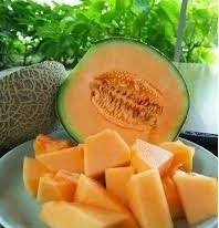 Giao Sỉ Dưa Lưới TL3 Bình Tân HCM