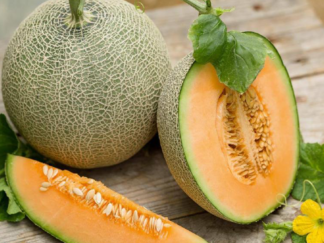 Giao Sỉ Dưa Lưới TL3 Bình Thạnh HCM