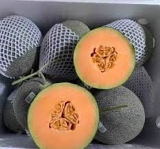 Giao Sỉ Dưa Lưới TL3 Gò Vấp HCM