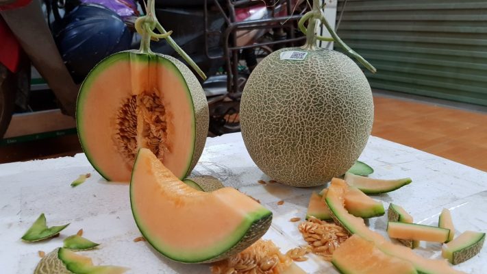 Giao Sỉ Dưa Lưới TL3 Tân Bình HCM