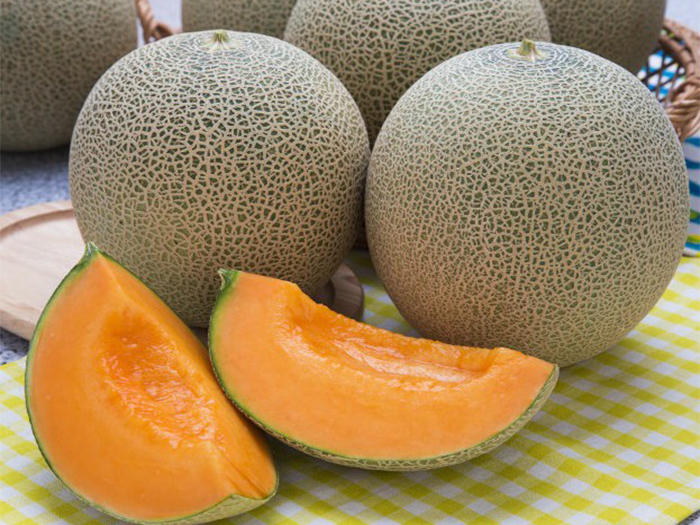 Giao Sỉ Dưa Lưới TL3 TP Tân An