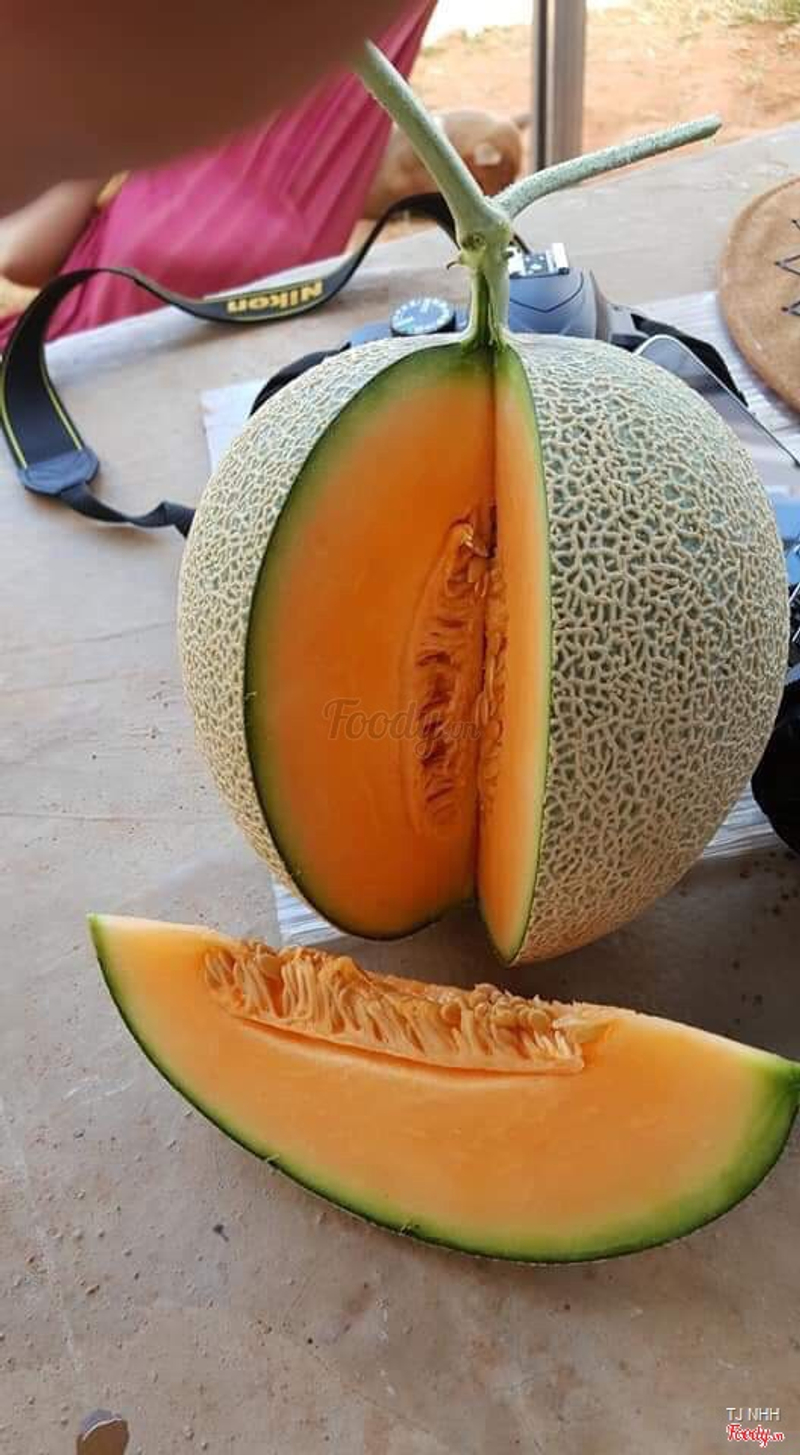 Giao Sỉ Dưa Lưới TL3 TX Gò Công