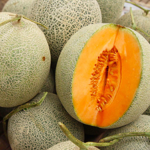 Dưa Lưới Thái Lan Huyện Chợ Mới